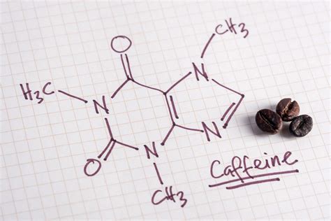 Optimizing Your Intake: Should Athletes Adjust Creatine, Caffeine, and Protein Based on Physiology?
