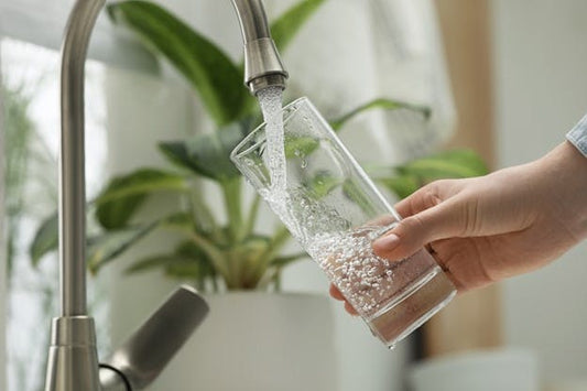 Sip Smarter: 6 Surprising Perks of Filtered Tap Water