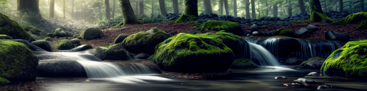 Exploring the Benefits of Oxygenated Water for Fitness and Wellness