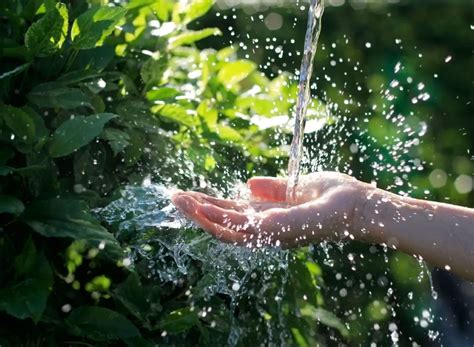 The Ripple Effect: Why You Should Water Intake Up Today